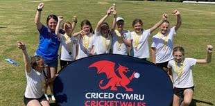 Image result for Narberth Cricket Club