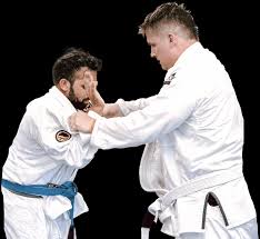 Image result for Phoenix Martial Arts