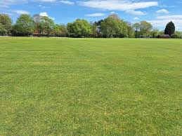 Image result for Alder Sports Club