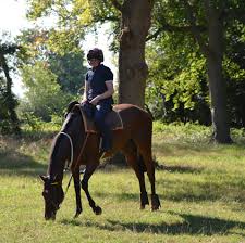 Image result for Elite Racing Club