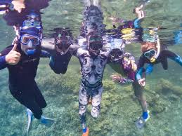 Image result for Wyndley NSC Snorkelling Club