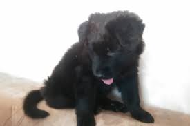 Image result for site:buyreklama.ru/*