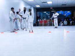 Image result for Derwent Jujitsu Academies