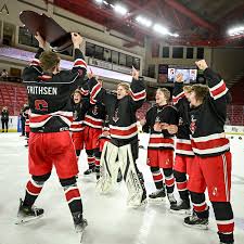 Image result for Demons Skater Hockey Club