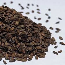 Attēlu rezultāti vaicājumam “Stachys officinalis bud”