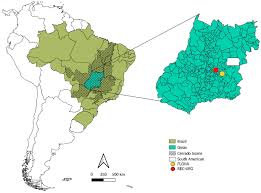 Attēlu rezultāti vaicājumam “Oligonema favogineum young”