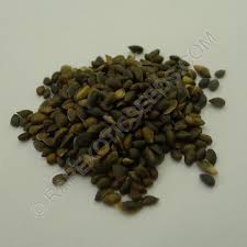 Attēlu rezultāti vaicājumam “Pinus mugo fruit”