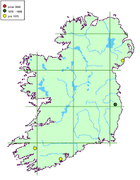 Attēlu rezultāti vaicājumam “Cetraria ericetorum”