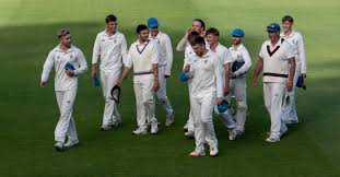 Image result for Malvern Cricket Club
