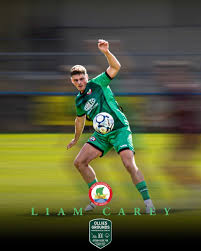 Image result for Sidmouth Town Association Football Club