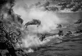 Image result for bilder