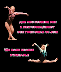 Image result for Flic Flac Gym Club, Eccleston