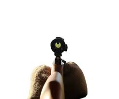 Image result for Bristol Invicta Rifle Club