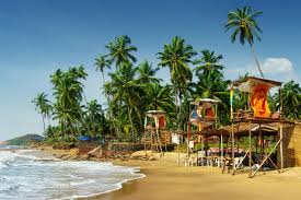 Image result for goa beaches