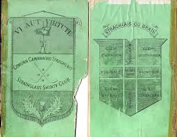 Image result for Lochcarron Camanachd