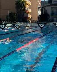 Image result for Rykneld Sharley Park Swimming Club