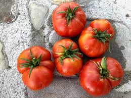 Afbeeldingsresultaat voor costoluto genovese tomato