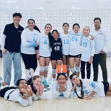 Image result for Ellesmere Port Eels Volleyball Club