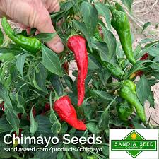 Afbeeldingsresultaat voor numex chimayo hot pepper
