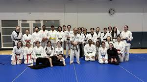 Image result for Taekwondo Witney