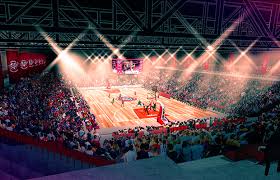 Image result for Bristol Basketball