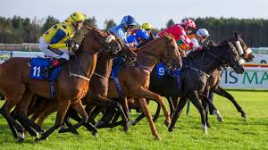 Image result for Ayr Riding Club