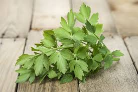 Image result for Liebstöckel