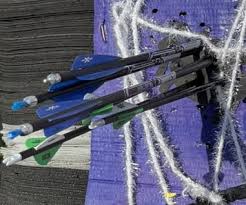 Image result for Blue Arrows Archery Club