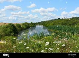 Image result for Benfleet Rc