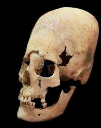 Image result for elongated skulls