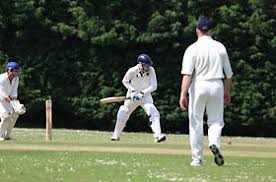 Image result for Chipstead Coulsdon & Walcountains Cricket Club