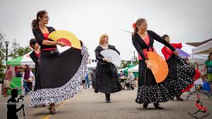 Image result for Flamenco Dance School