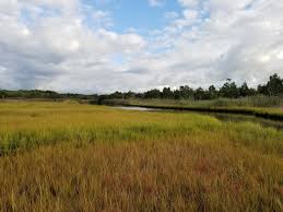 Image result for Suffolk Coastal Floaters