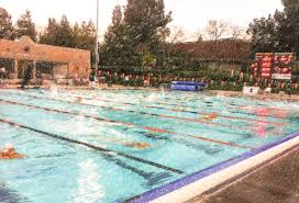Image result for Stockton Swimming Club
