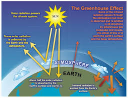 Image result for pemanasan global