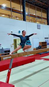 Image result for West Lothian Artistic Gymnastic Club