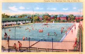 Image result for York University Pool Club