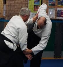 Image result for Ryusui-ryu Martial Arts School East Grinstead