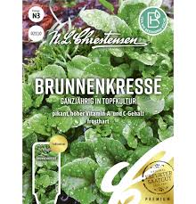 Image result for Brunnenkresse