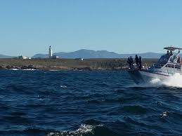 Image result for Birkenhead Sc