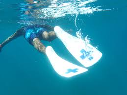 Image result for Three Seas Diving