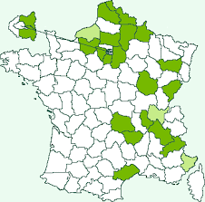 Attēlu rezultāti vaicājumam “Zophodia grossulariella”