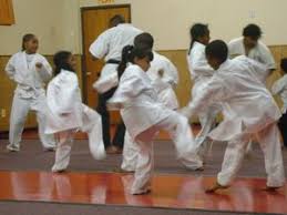 Image result for Sandokai Karate