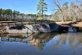 Image result for Backwell Sc