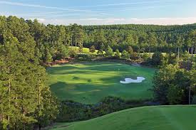 Image result for The Alt Golf Club