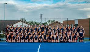 Image result for Foxes Netball Club
