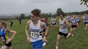 Image result for Cheltenham and County Harriers