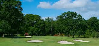 Image result for Newton Abbot Somersaults Gc