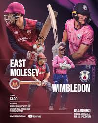 Image result for Wimbledon Cricket Club