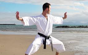 Image result for Hidden Dragon Karate-Do